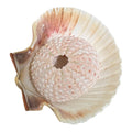 pink sea urchin specimen